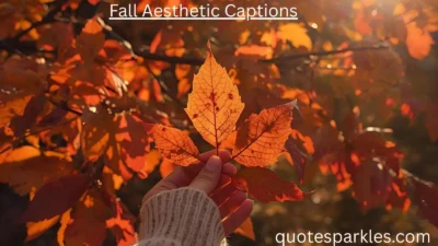 Fall Aesthetic Captions